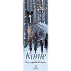 Kalendarz 2026 pocztówkowy 12,5x33cm Konie