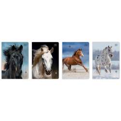 Zeszyt A5/16K 3kol linia UV Wild Horses (20szt)