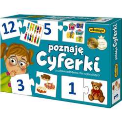 GRA'ADAMIGO' POZNAJĘ CYFERKI (5598) - 2