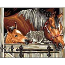 Malowanie po numerach Konie z kotem 40x50cm 1006803 (NO-1006803)