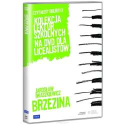 Kolekcja lektur szkolnych - Brzezina - 1
