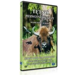 Tętno pierwotnej puszczy DVD - 1