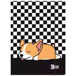 Teczka z gumką A4 Sleepy Corgi - 1