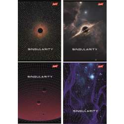 Zeszyt A5/80K linia Singularity (10szt)