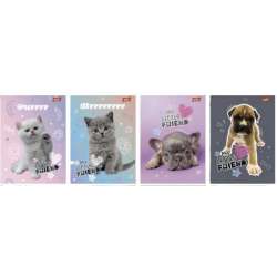 Zeszyt A5/32K kratka My little friend (15szt)