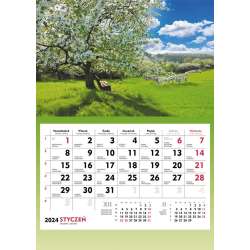 Kalendarz 2024 Ścienny Jabłoń wiosną - 1