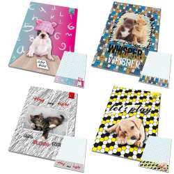Notes A6 poddruk Best Friends zwierzaki (10szt) - 1