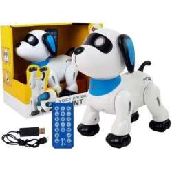 Pies robot zdalnie sterowany - 1
