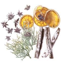 Naturalne elementy 19szt - 1