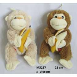 Plusz Małpa z głosem trzyma banana 26cm 2 kolory (M3227) - 3