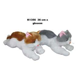 Kot glos 36cm MIX - 1