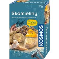 Zestaw Archeologiczny Skamieliny PIATNIK (GXP-883583)