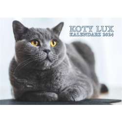 Kalendarz 2024 ścienny Lux Koty - 1