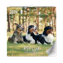 Kalendarz 2024 ścienny Lux kwadratowy Psy - 1