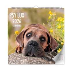 Kalendarz 2026 ścienny lux psy - 1