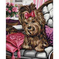 Malowanie po numerach - Yorkshire terrier 40x50cm - 1