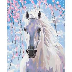 Obraz Paint it! Malowanie po numerach. Koń w kwiatach wiśni (GXP-792666) - 1