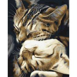 Obraz Paint it! Malowanie po numerach. Śpiące koty (GXP-792669) - 1