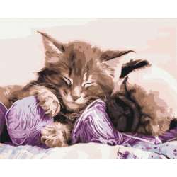 Obraz Paint it! Malowanie po numerach. Kot i pies (GXP-792689) - 1