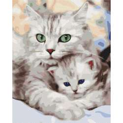 Obraz Malowanie po numerach - Kocia mama (GXP-819352)