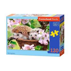 Puzzle 120 Wiosenny czas CASTOR (GXP-577230)