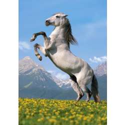CASTOR PUZZLE 500el PANO FISO (51458) - 1