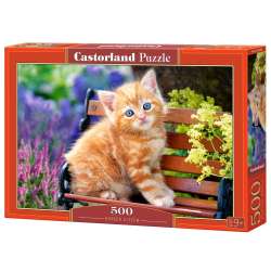 Puzzle 500 Ginger Kociak CASTOR (GXP-527299) - 1