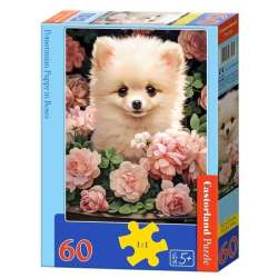 Puzzle 60 Pomeranian Puppy in Roses CASTOR