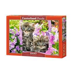 Puzzle 1000 Kittens in Summer Garden CASTOR (GXP-651293)