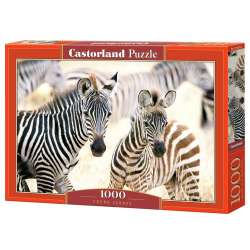 Puzzle 1000 Young Zebras CASTOR (GXP-892180) - 1