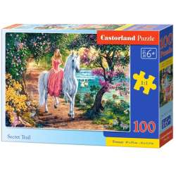 Puzzle 100 Secret Trail CASTOR (GXP-703100)