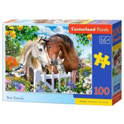 Puzzle 100 Best Friends CASTOR (GXP-728502)
