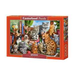 Puzzle 2000 House of Cats CASTOR (GXP-651346)