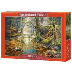 Puzzle 2000 Wspomnienie z jesiennego lasu CASTOR (GXP-728602)