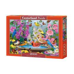 Puzzle 2000 Rhythm of Nature (GXP-826873)