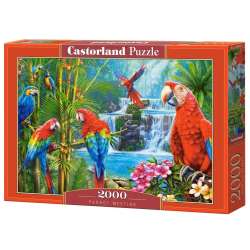 Puzzle 2000 Parrot Meeting CASTOR (GXP-879113) - 1