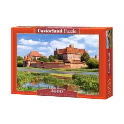 CASTOR 3000 el. MALBORK, POLAND (300211)