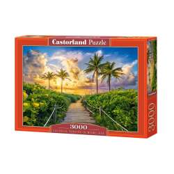 Puzzle 3000 Colorful Sunrise in Miami, USA (GXP-845461)