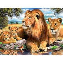 Diamentowy obraz Rodzina lwów 60799 (JP GLD60799)