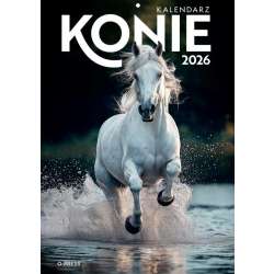 Kalendarz 2026 A4 Wieloplanszowy Konie
