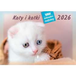 Kalendarz 2026 rodzinny Koty i kotki - 1