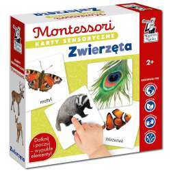 Montessori. Karty sensoryczne. Zwierzęta 2+ - 1