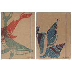 Teczka z gumką A4 Eco Sea mix