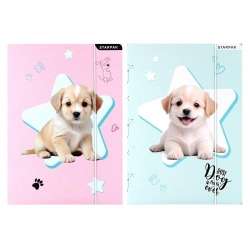 Teczka z gumką A4 Pieski mix