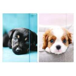 Teczka z gumką A4 Pieski mix - 1