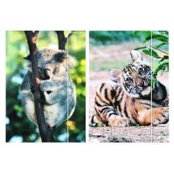 Teczka z gumką A4 Wild Animal 2 mix - 1