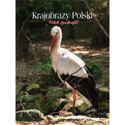 Kalendarz 2025 ścienny Krajobrazy Polski - 1