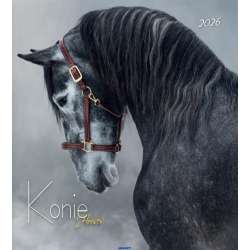 Kalendarz 2026 ścienny 32x32cm Konie