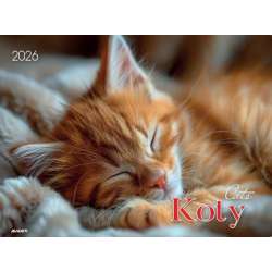 Kalendarz 2026 ścienny albumowy 28,5x20cm Koty - 1