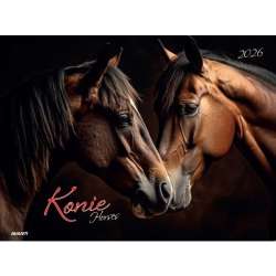 Kalendarz 2026 ścienny albumowy 28,5x20cm Konie - 1